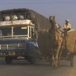 Camion et chameau sur une route en Inde