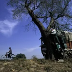 Camionabandonnésousunarbreetchiffrecyclistedanslerural