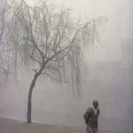 Homme marchant sous un arbre en hiver brumeux