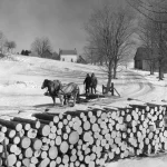 Transport de bois par cheval par une journée d'hiver