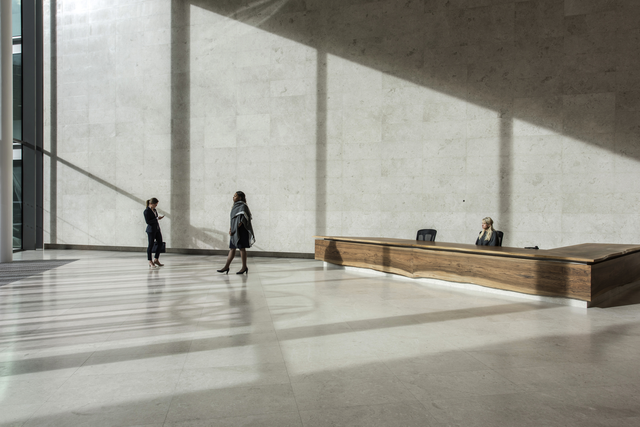 AKG8367973.webp Hall d'entrée spacieux avec réception et jeu d'ombres. – Image 1