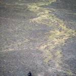 Cavalier solitaire traversant un vaste terrain rocheux