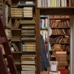 Bibliothèque ancienne avec livres anciens et échelle en bois
