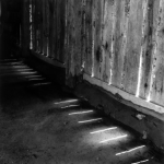 Lumières et ombres à travers une vieille clôture en bois