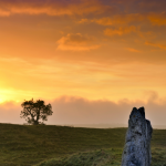 Paysage naturel au coucher du soleil avec arbre et monolithe