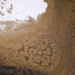 Texture de Surface Détériorée