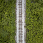 Voie ferrée à travers la forêt