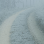 Chemin de campagne givré et brumeux