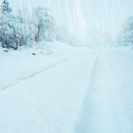 Route enneigée dans une forêt