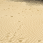 Route et traces de pas dans le désert