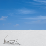 Branche sur sable blanc sous ciel bleu
