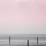 Côte au crépuscule avec ciel rosé