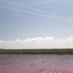 Ponton en bois bordant un lac rose sous un ciel bleu