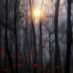 Lever de soleil en forêt avec feuilles rouges