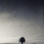 Arbre seul avec oiseaux en vol