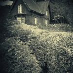 Maison en pierre entourée de végétation luxuriante