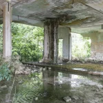 Bâtiment abandonné envahi par la végétation avec eau stagnante