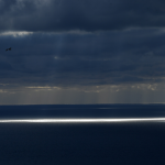 Oiseau solitaire survolant un océan sous des nuages sombres