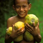Enfant souriant tenant des papayes dans un jardin