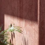 Plante en pot et ombre sur un mur rose