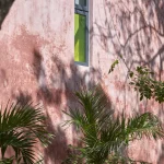 Fenêtre sur mur en stuc rose avec plantes et ombres
