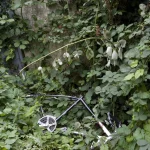 Vélo abandonné envahi par la nature