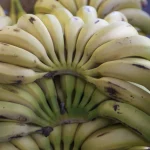 Régime de bananes mûres