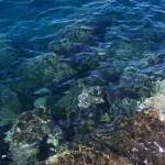 Vagues bleues transparentes sur rochers sous-marins