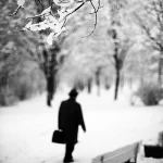 Homme seul marchant dans un parc enneigé