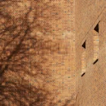 Ombre d'un arbre sur un mur de briques