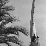 Homme grimpant sur un mât de voilier près d'un palmier