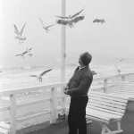 Homme regardant des mouettes en bord de mer