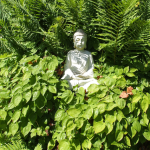 Statue de Bouddha parmi les fougères dans un jardin