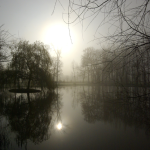 Étang brumeux au lever du soleil
