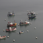 Bateaux de pêche ancrés sur une eau calme