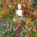 Statue de Bouddha au milieu de fougères et de feuillage coloré