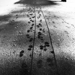 Allée d'hiver enneigée avec traces de pas et de skis