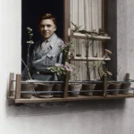 Jeune homme regardant par la fenêtre avec des plantes en pot.